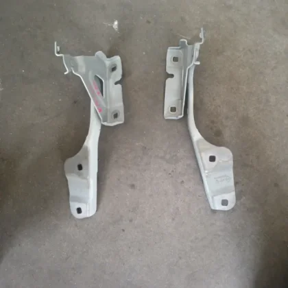 Bisagras Capó Renault
                            Kangoo 202