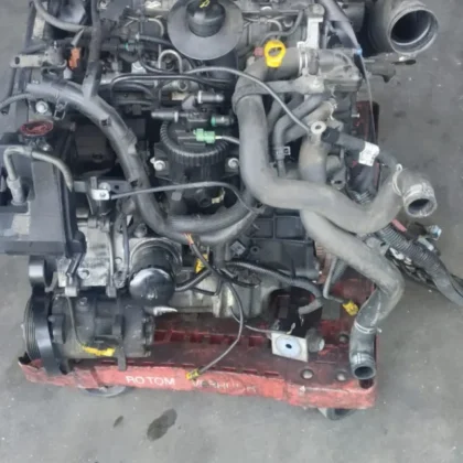 Motor Citroen Picasso 2.0
                            RHY 20